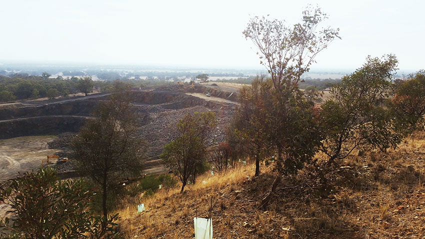 SITE PHOTO: Looking over rehabilitated area into the extraction area with a recently blasted shot in view.