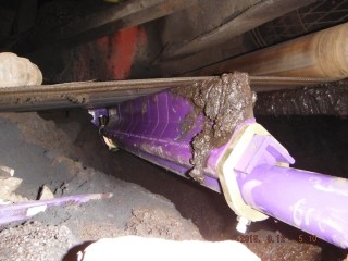 p31 Flexco2